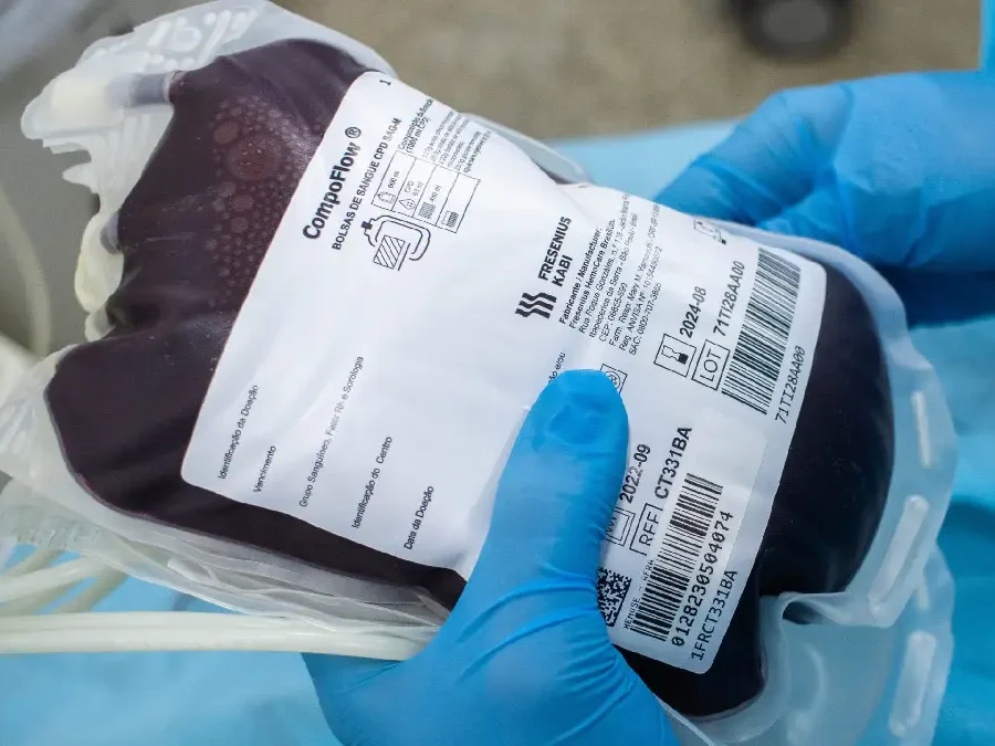 Como aumentar as plaquetas do sangue naturalmente: guia completo e atualizado
