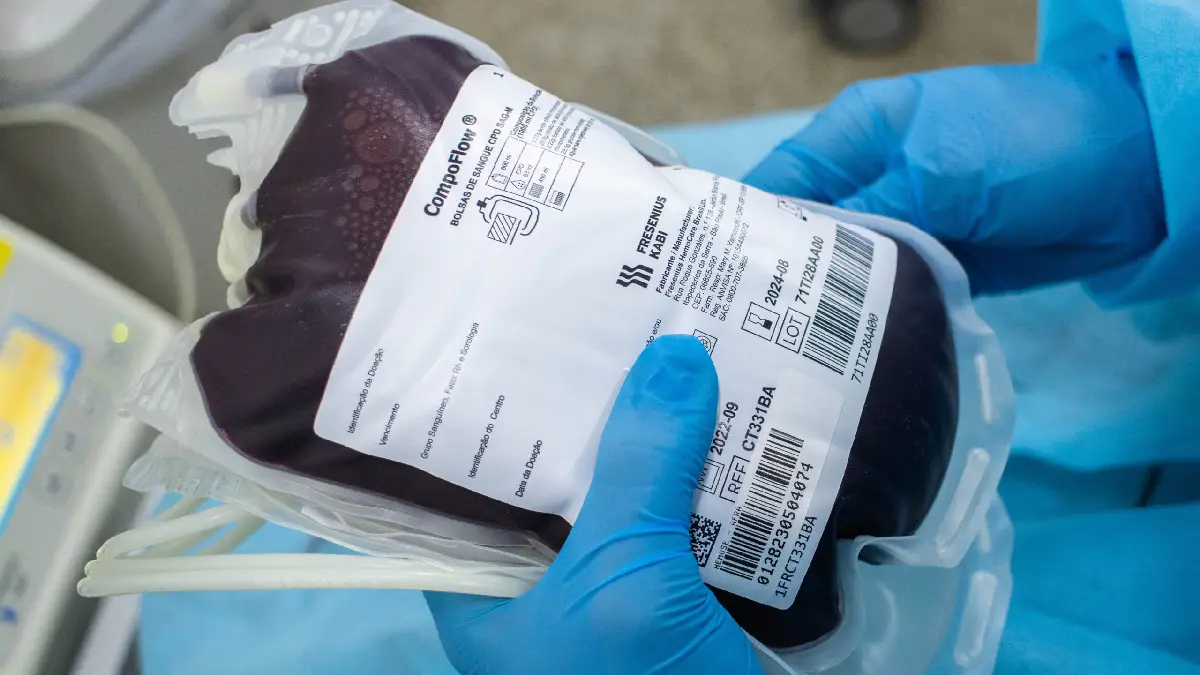 Como aumentar as plaquetas do sangue naturalmente: guia completo e atualizado